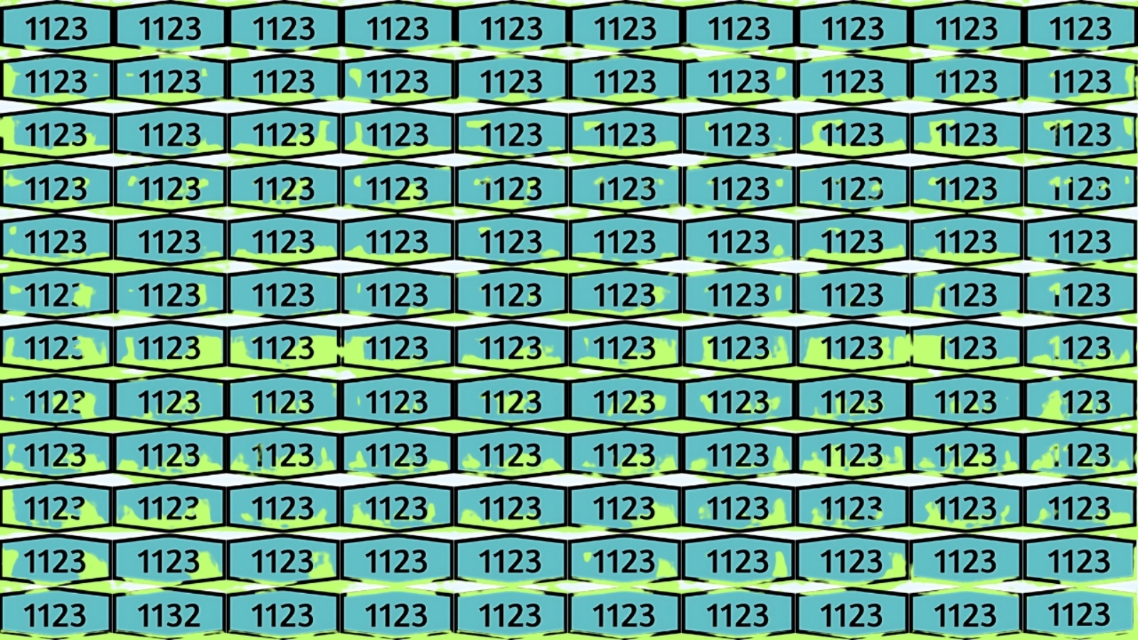 Optical Illusion That Hides 1132